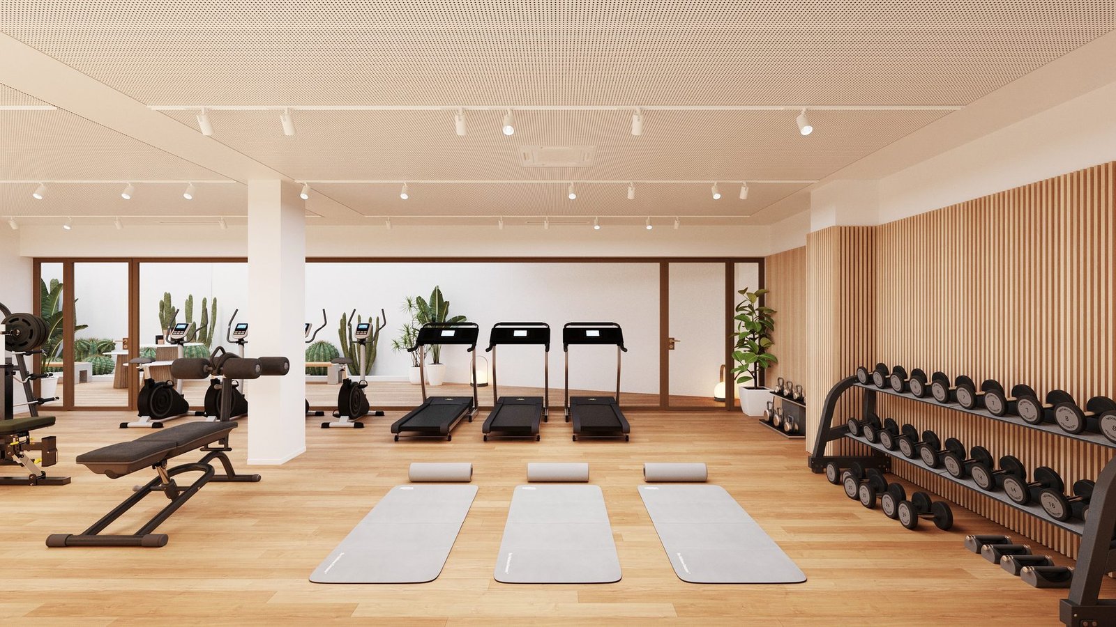 Gimnasio equipado